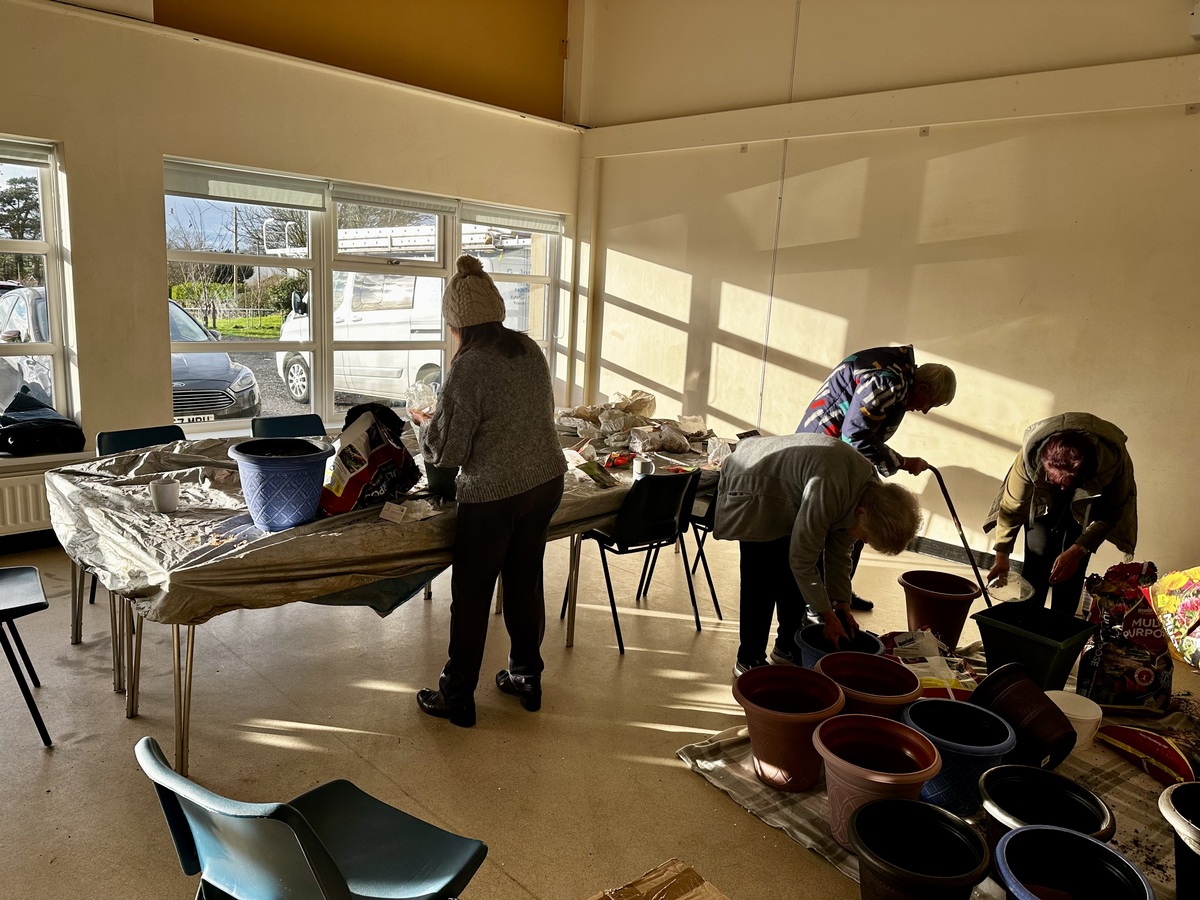 Spring bulb planter 2